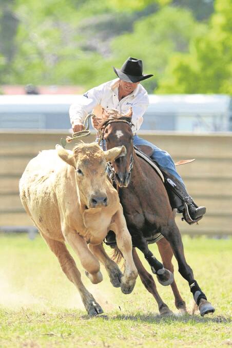Kingaroy’s Mark Buttsworth on Double Susie, wins the novice draft at the Mary Valley Campdraft.  – Picture: MIKE KENYON.