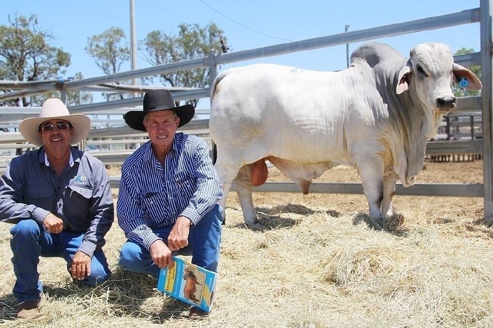 The Lancefield Brahmans Invitation sale hit a top of $38,000 when Rodger Jefferis (right), Elrose Brahmans, Cloncurry selected 2AM Trinity from Andrew (left) and Anna McCamley’s 2AM sale team.