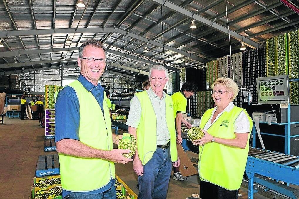 Tropical Pines director Joe Craggs and CEO Derek Lightfoot discuss concerns over the risk of disease importation with Federal Member for Capricornia Michelle Landry.