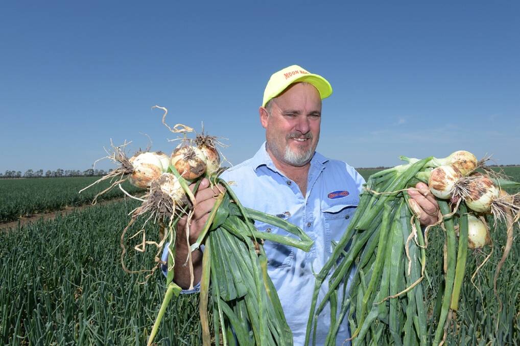 St George onion grower Andrew Moon. - Picture: RODNEY GREEN.