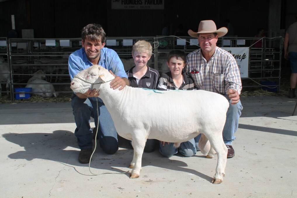 Francois Smit, Smit Dorpers, Boondarra, Roma, with his $975 top selling White Dorper ram, Smit 130030, and buyers Sam, Mitchell and Paul Southern, Lyolia, St George, at the Queensland Dorper and White Dorper ram and ewe sale, Tara showgrounds on Saturday.