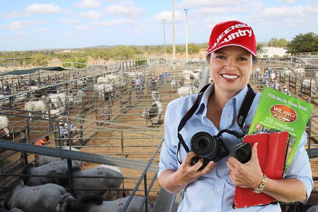 Queensland Country Life’s Sharon Howard in action at the Wilangi Invitation bull sale, at Charters Towers saleyards.