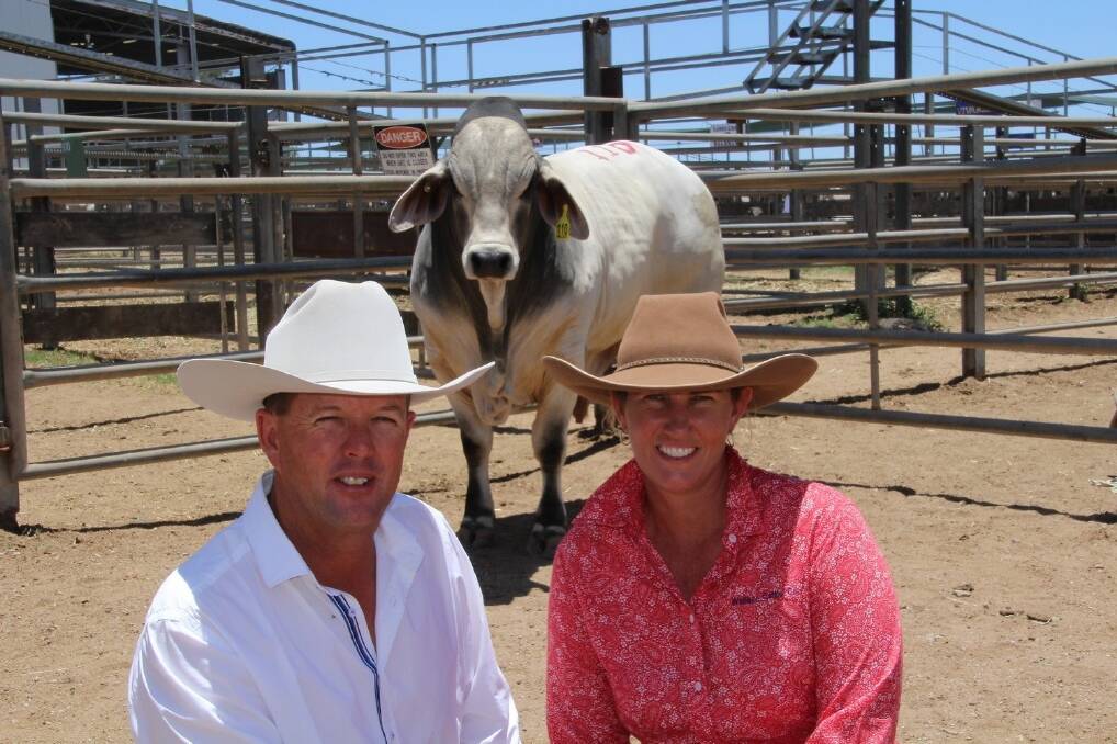 Brett Nobbs, NCC Brahman stud, Duaringa, and Kerry Wallace, Wallace Cattle Co, Clarke Creek, are pictured with the top priced bull, Wallace Mr Mint at Friday's Wilangi Invitation sale. Mr Nobbs paid $21,000 for the sire.