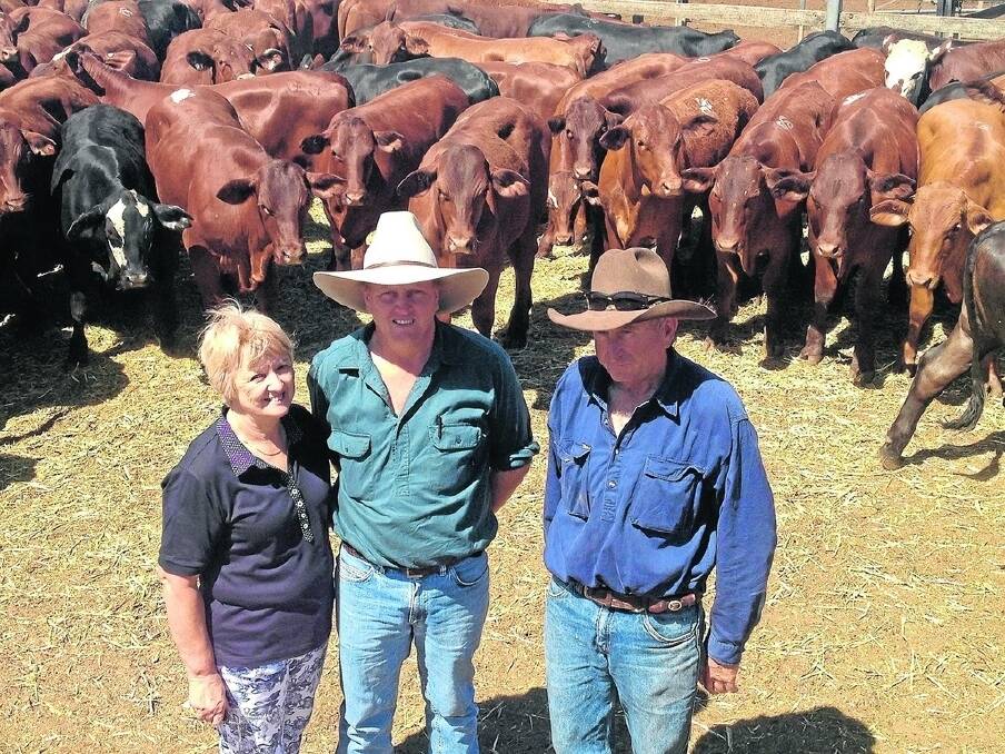 Trading as CA Flower and Co, Rowena Flower and son Cameron sold 523 Santa, Hereford and Brangus-cross steers to a top of 235c/kg at the Roma Saleyards on Tuesday. Pictured with the Flowers is Ross Shuttlewood, Ticehurst, Roma.