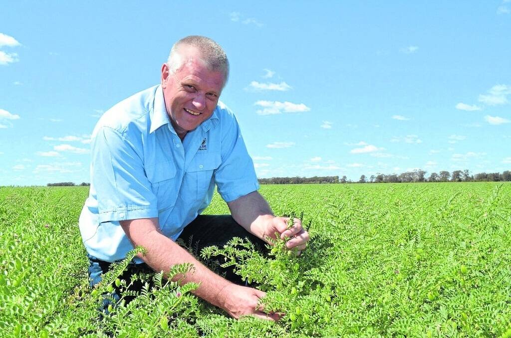 Pulse Australia's national development manager Gordon Cumming is expecting the area sown to winter pulses to increase again in 2015, after pulses performed better than many expected under extreme weather conditions in 2014. 