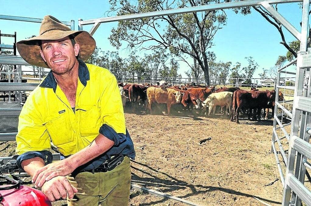 David York, Southleigh, Wallumbilla, checking on the cattle. - <i>Picture: RODNEY GREEN.</i>