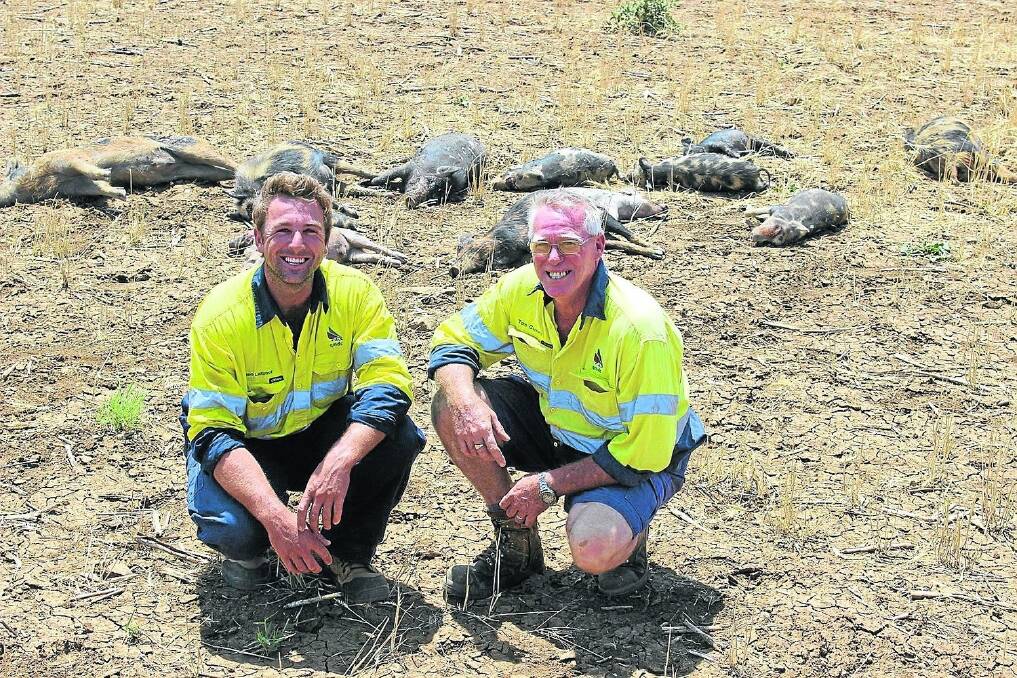 Brendan Latimer and Tom Garrett, QMDC, Roma, were delighted to kill an estimated 300 pigs in a baiting program south of Roma.