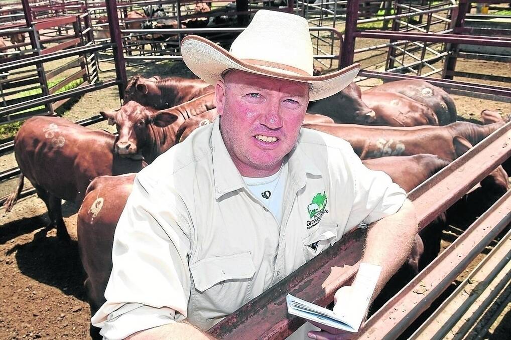 Karl Harms was on hand buying at the Warwick sale on Tuesday. <i>- Picture: RODNEY GREEN.</i>