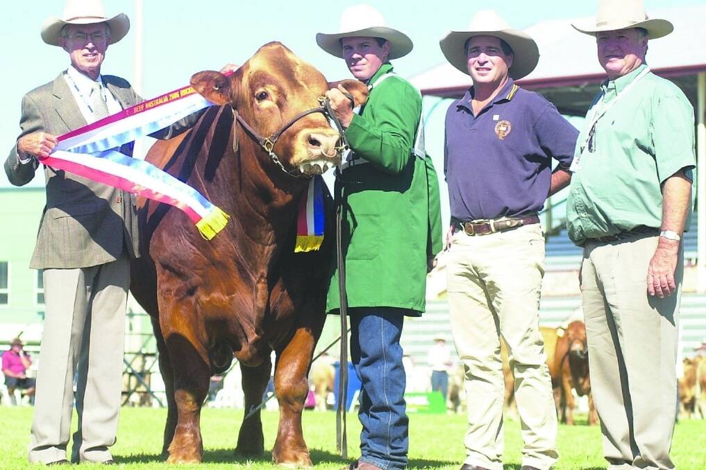 The interbreed bull, Double J Zulu, was previously sashed grand/senior champion Gelbvieh bull. Pictured is Gelbvieh judge Anthony Coates presenting his breed ribbon to Graham Harvey and owners Michael Jackson, Double J Stud, Guyra, and Elwyn Rea, Edengarry, Kunwarara.