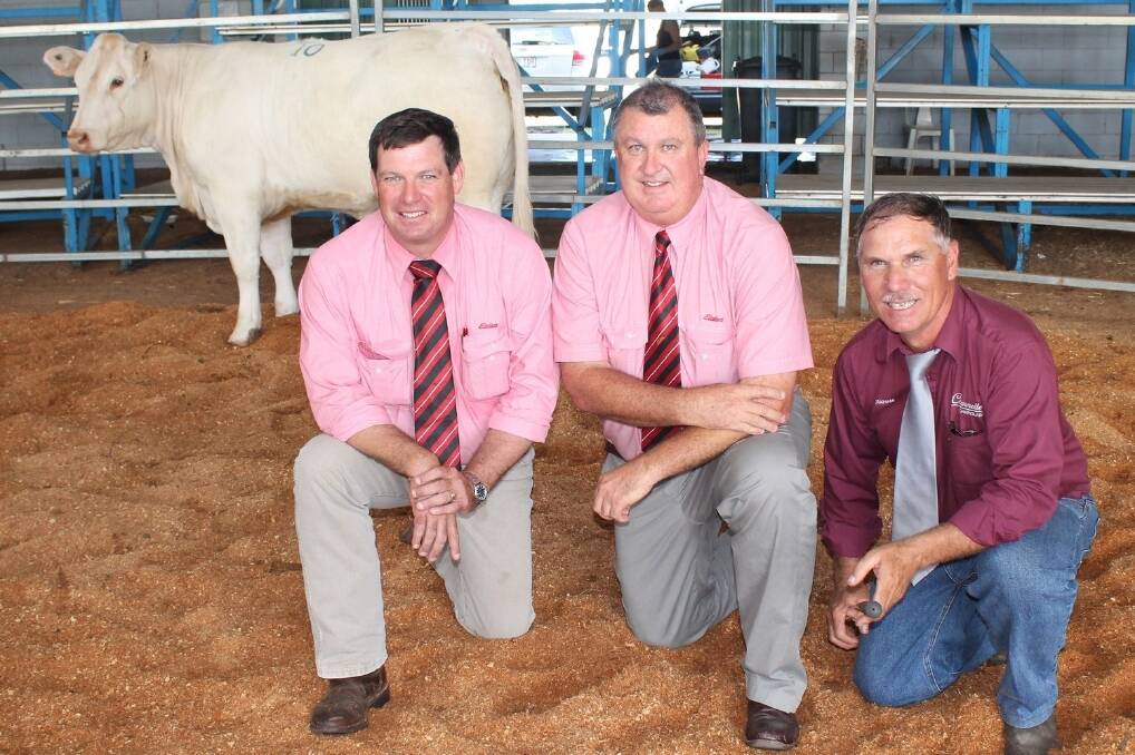 Elders auctioneer Michael Smith and Elders AuctionsPlus northern zone manager, Bob Jakins, Goondiwindi, with Graham Blanch, Charnelle Charolais, Gatton, and the $5000 top-priced heifer, Charnelle Desire 13 (AI) at the Charnelle Charolais Invitation Female Sale, Toowoomba Showgrounds, on Saturday.