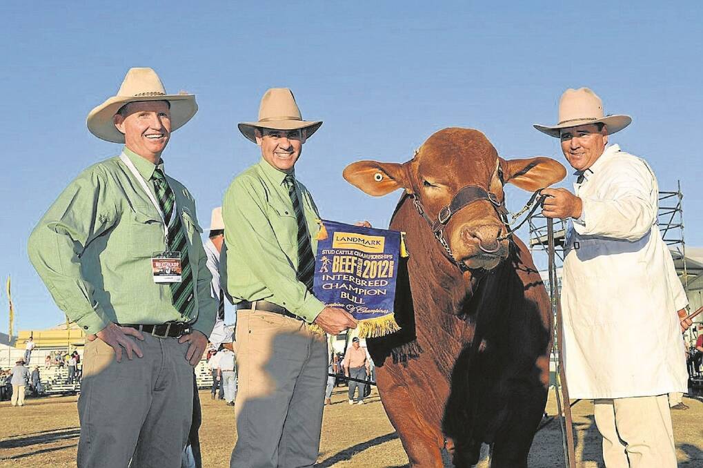 Interbreed bull Glenlands Prince, with Landmark’s Martin Pentecost and Richard Norton, and Jason Childs, Glenlands Droughtmasters, Bouldercombe.