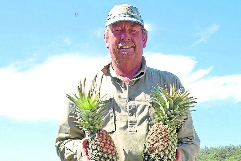 Peter Sherriff showing off the sunburn damage to his pineapples. - <i>Picture: INGA STUNZNER.</I>