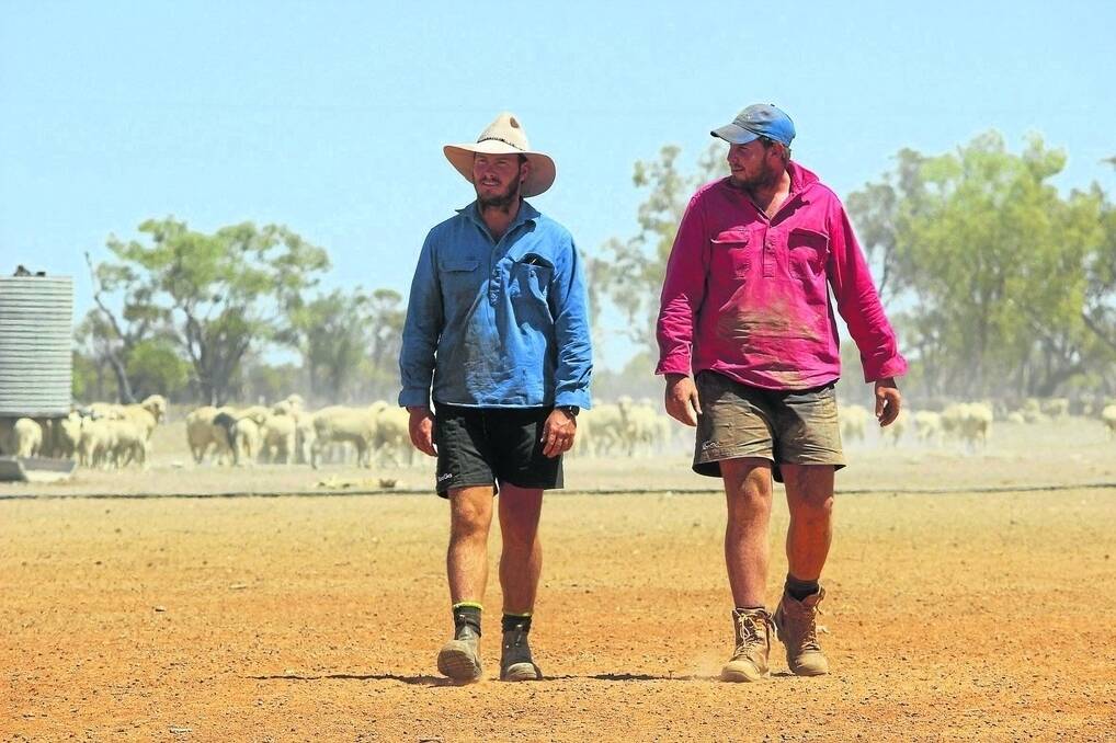 Aaron and Kane Little, Waverly, Cunnamulla, are in the process of drafting up the last of their sheep to either sell or send on agistment as three years of drought takes its toll.