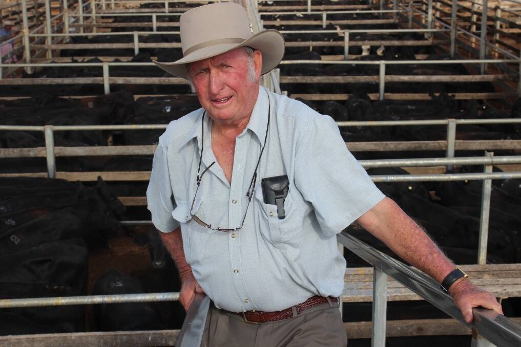 Bevan Doyle, Tumbar Grazing, Jericho, was delighted to see his Angus cross steers average 247c/kg at Roma this morning.