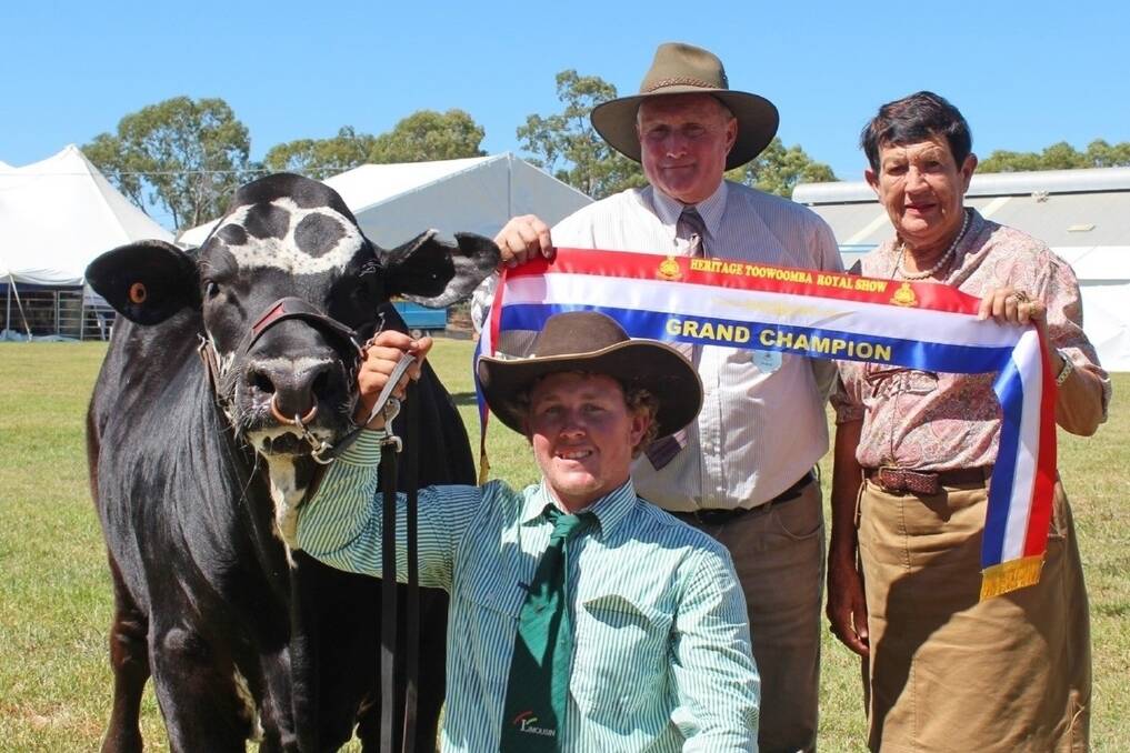 Grand champion led steer Tucker, owned by Bob and Elaine Dull, Hillview Led Steers, Gowrie Mountain, and paraded by Jamie Hollis, Pittsworth.