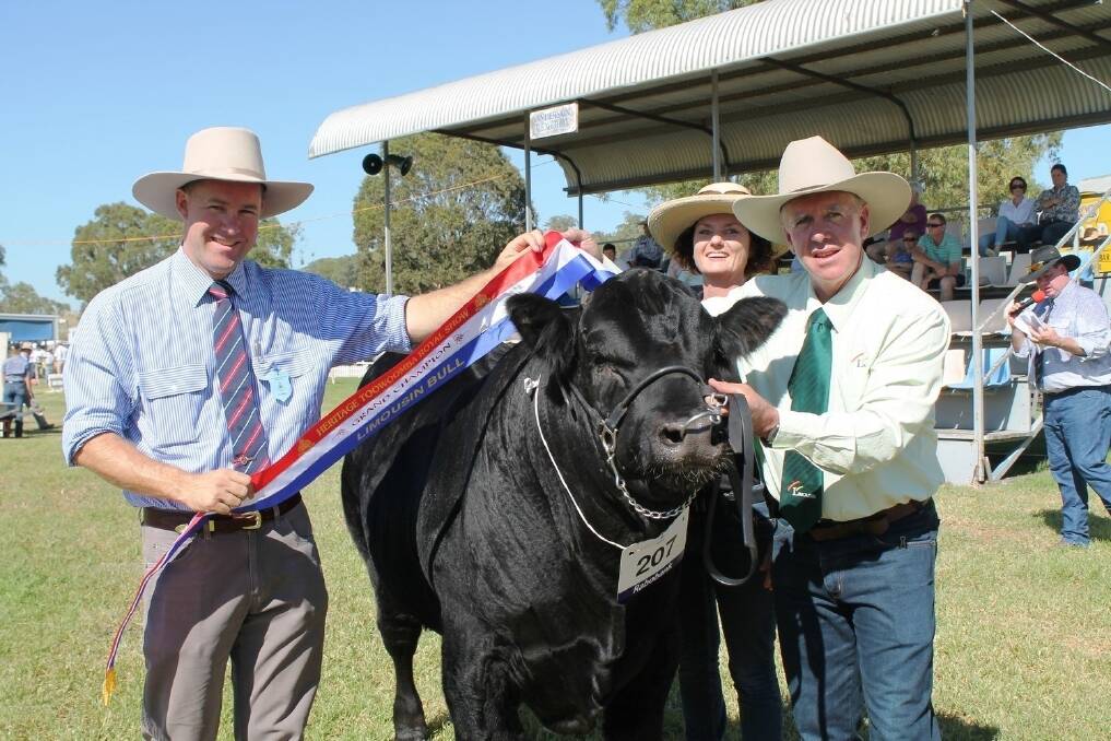 Judge Alastair Rayner, RaynerAg, Tamworth, NSW, decorates the grand champion Limousin bull, The Downfall GMV Stetson Junior, with exhibitors Pauline and Peter Grant, The Downfall Limousin stud, Stanthorpe at the Toowoomba Royal Show.