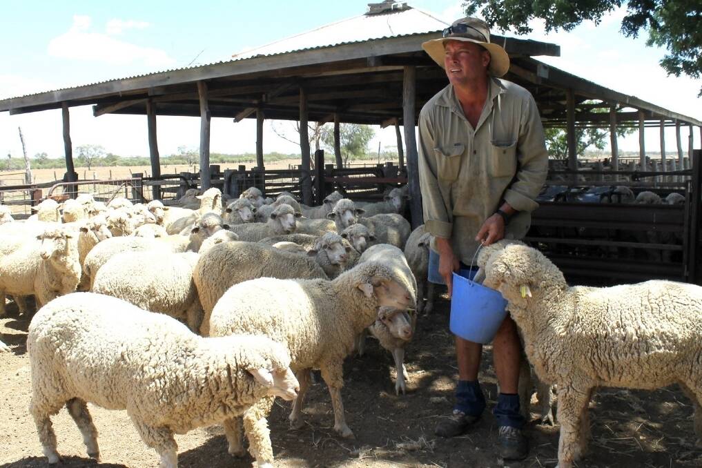 After feeding sheep on and off for nearly three years, John Wearing has called a halt and is destocking as his season folds again.