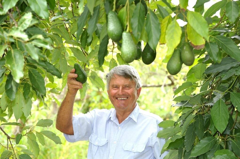 Imbil avocado grower and Robert Price. <i>-Picture: RODNEY GREEN.</i>