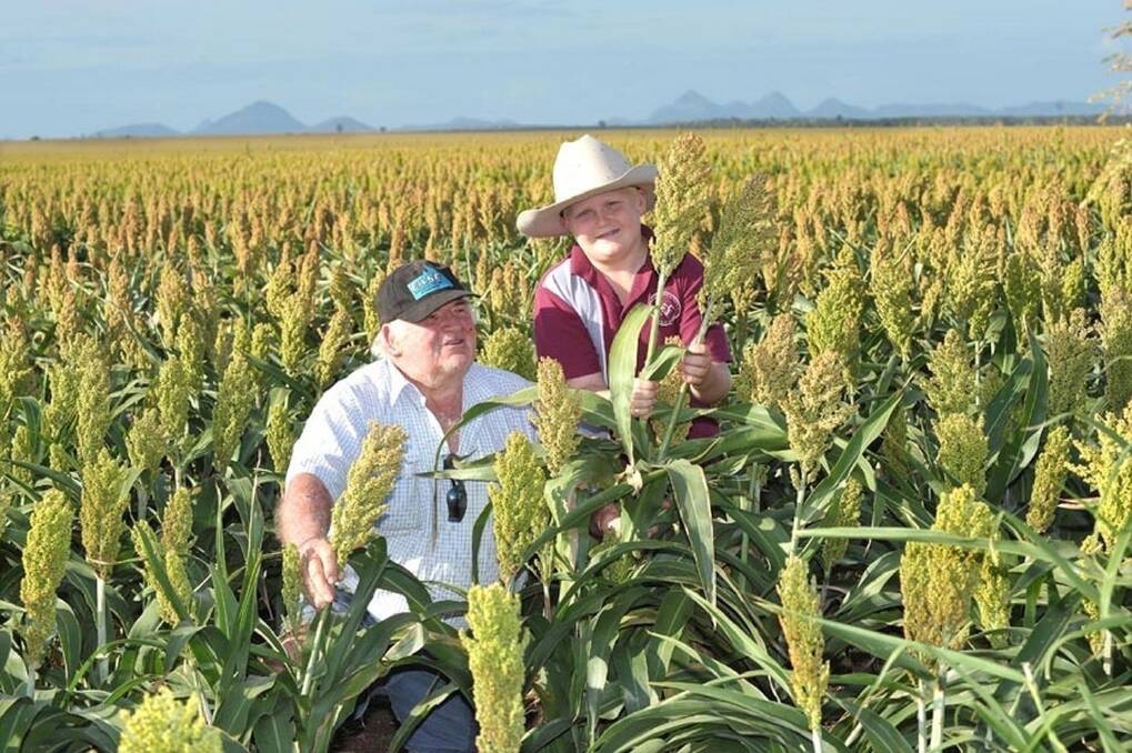 Bevan Beer's son Max and his father-in-law Kev McConville in a stand of sorghum that should go around 4t/ha on share farming country near Capella.