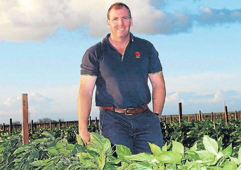 Bowen tomato grower Jamie Jurgens out in one of his paddocks checking on the health of his plants.