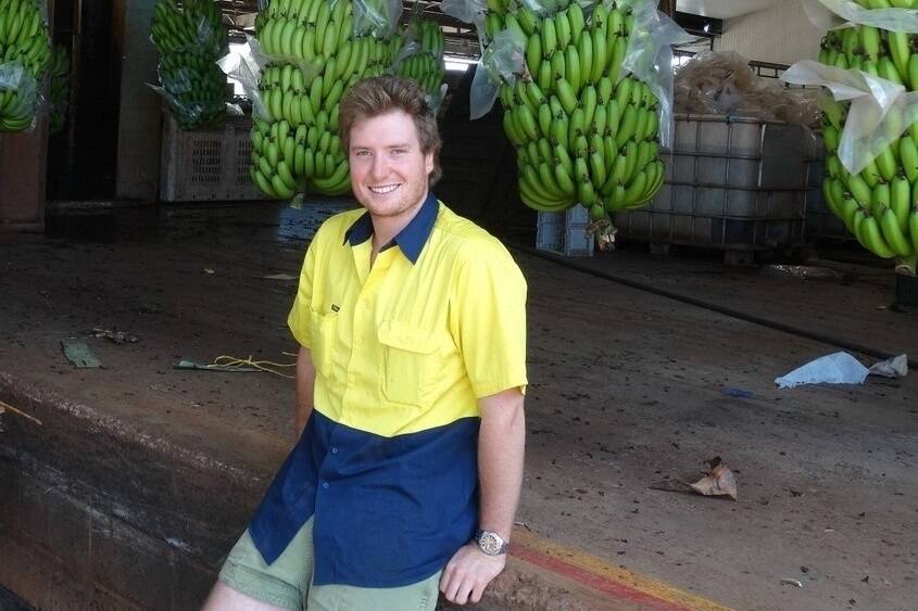 Atherton Tableland banana grower James Howe says the family has learnt from cyclones past to spread the geographical risk, thus prompting them to establish farm at Mareeba. <i>- Picture courtesy: Fruit & Vegetable News magazine.</i>