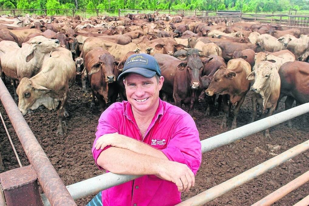 Berrimah holding yards manager Brendan Lewis is delighted at the new Indonesian orders. The yard capacity is 6000 head. - <i>Picture: HELEN WALKER.</i>