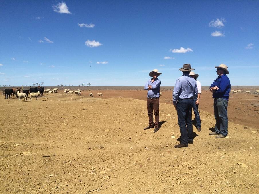 Queensland opposition leader Lawrence Springborg and shadow Agriculture Minister Deb Frecklington travelled west with Member for Gregory Lachlan Millar to inspect drought areas.