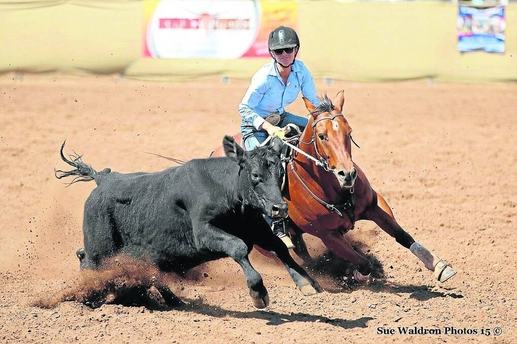Shari Knudsen is riding on a high after winning Champion Cut Out Horse of Australia and 2015 Champion Lady Rider at the ACA finals on the weekend. - <i>Picture: Sue Waldron.</i>