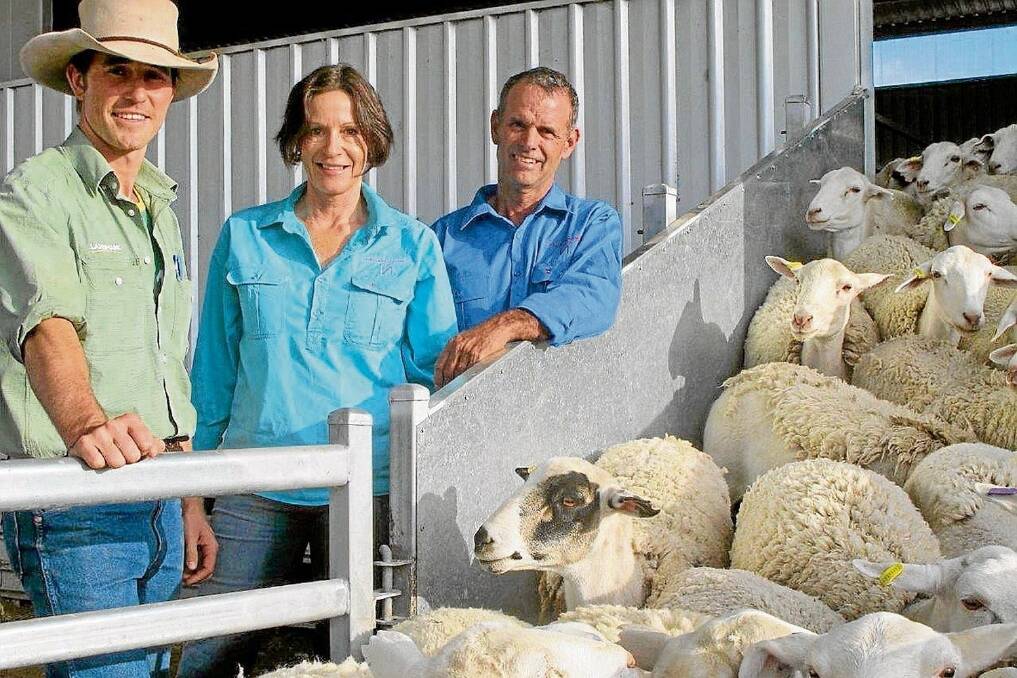 Blackall Landmark's Sam Hart with Rachel and Ranald Noble and some of the $153/head ewes sold on AuctionsPlus last week.