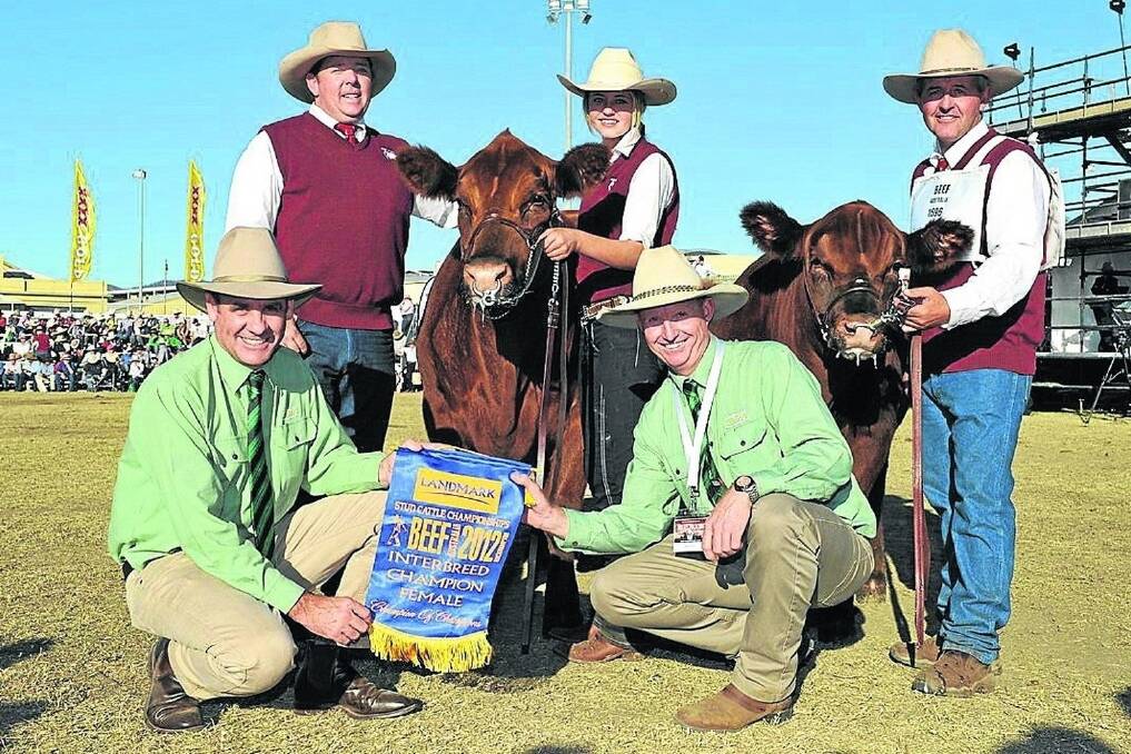2012 Interbreed female, Bolton Girls Whisper-Echo, pictured with (front) then Landmark MD director Richard Norton and Landmark Rockhampton branch manager Martin Pentecost, and (back) owners Tom Wilding-Davies, Holbrook, NSW, and Aimee and David Bolton, Bolton Girls Red Angus, Congupna, Victoria.