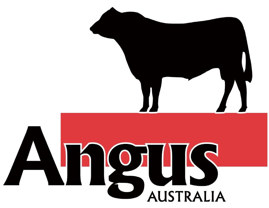 Angus Beef 2015 results