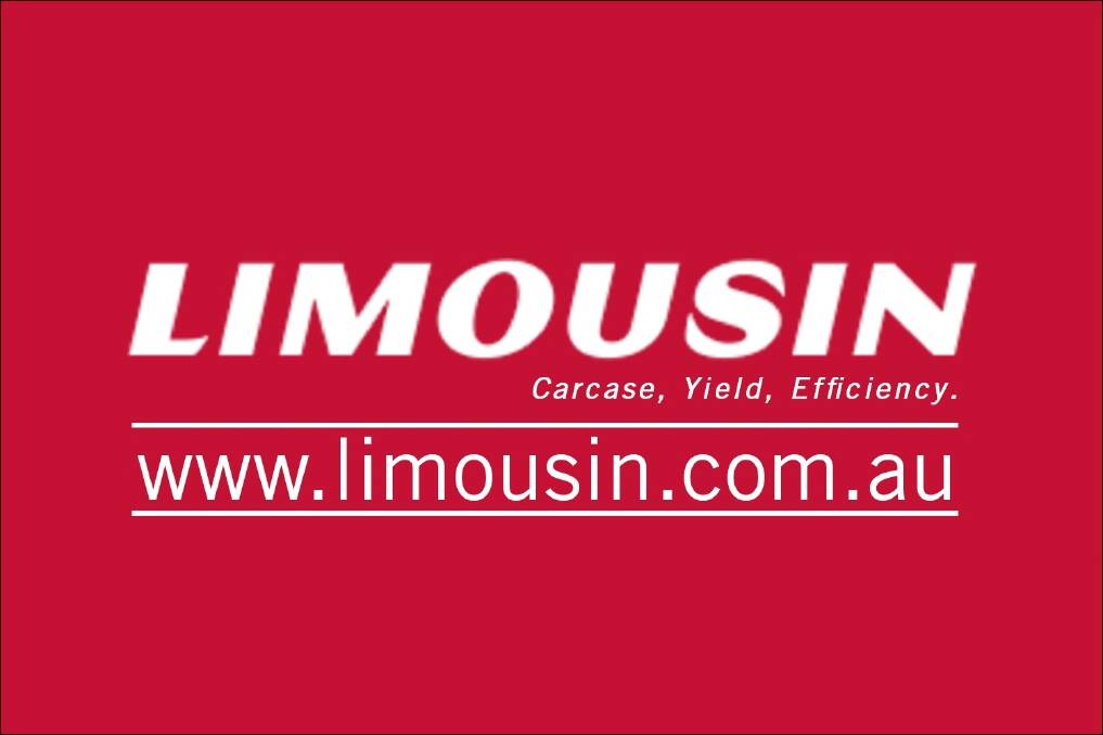 Limousin Beef 2015 results