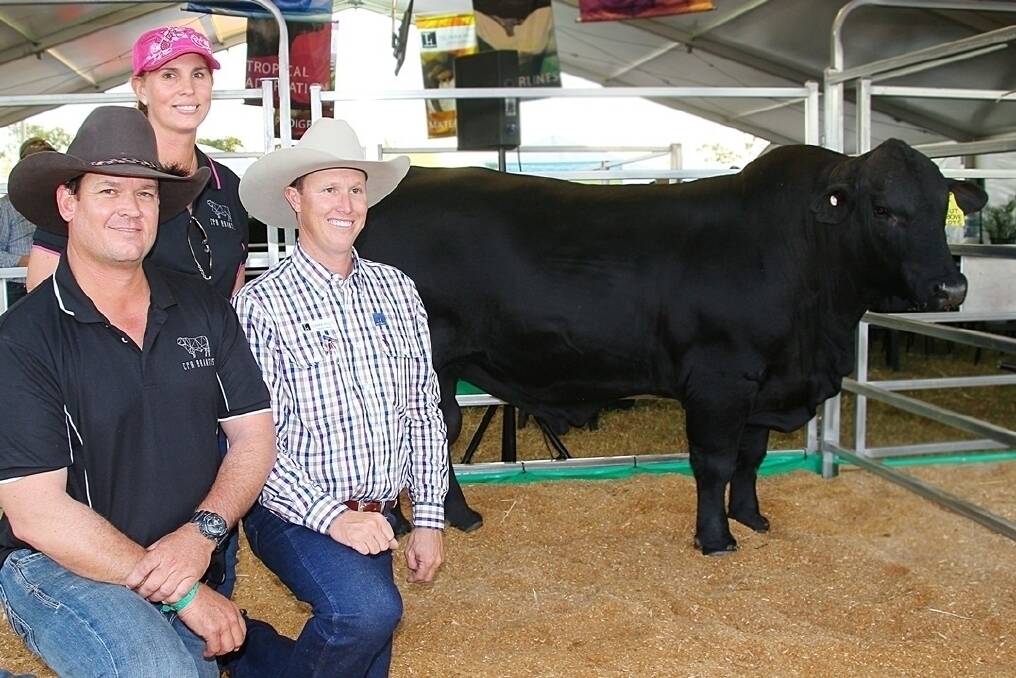Wayne and Kellie Dobe, CPR Brangus, Gumlu paid $38,000 for Telpara Hills Cut Above at the stud's Beef 2015 sale.
