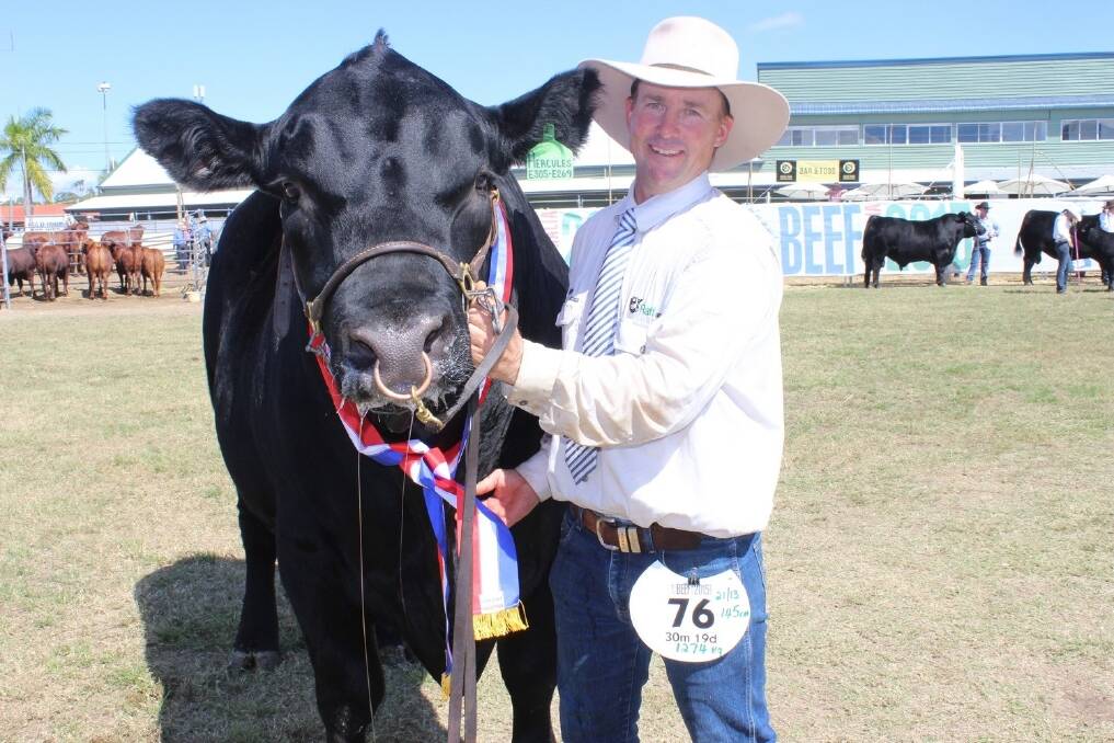 Grand champion Angus bull at Beef 2015, Raff Hercules, exhibited by the Raff family, Drillham, and held by a delighted Andrew Raff.
