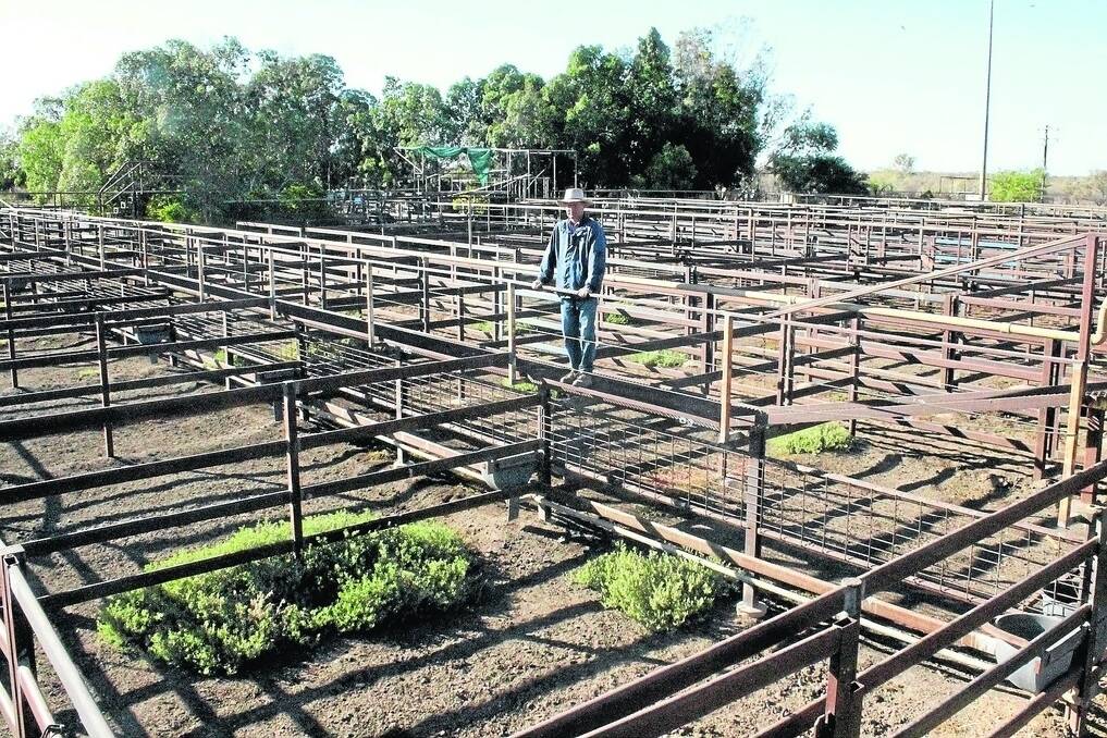 Rows of empty pens at the Longreach saleyards paint a grim picture for Richard Simpson and fellow agents.
