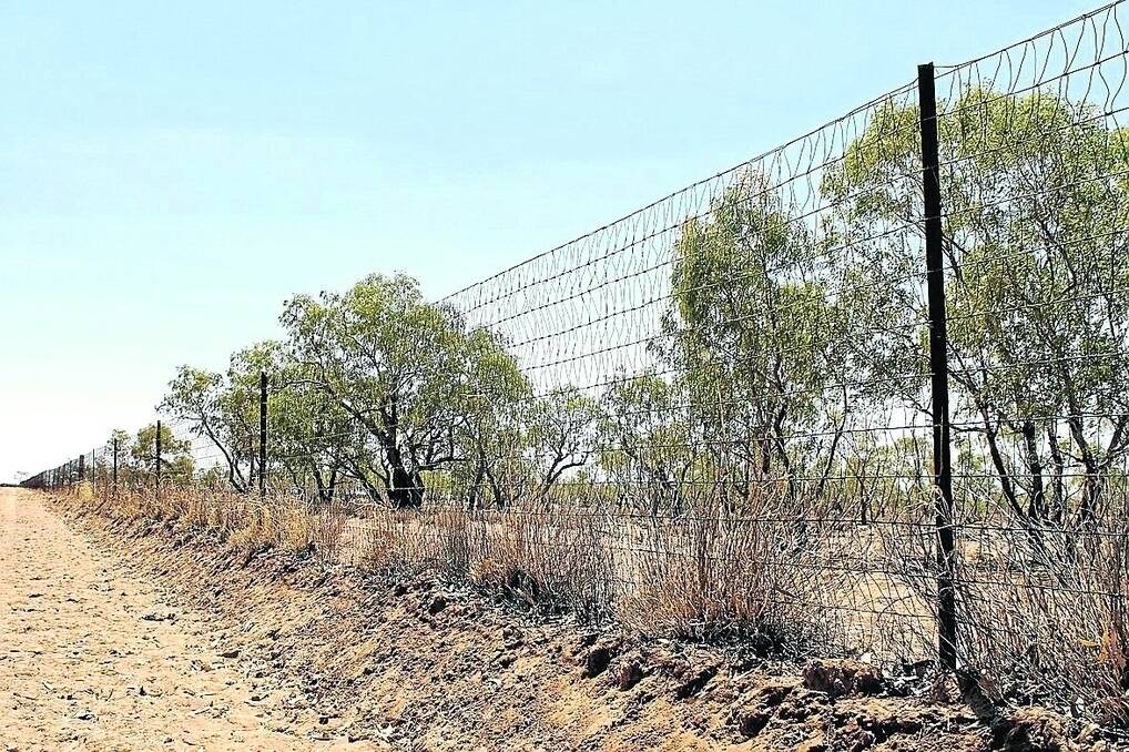 Wild dog fence groups in the central west have reached a consensus on how to progress plans for exclusion fencing - now it's up to governments to agree to the plan.