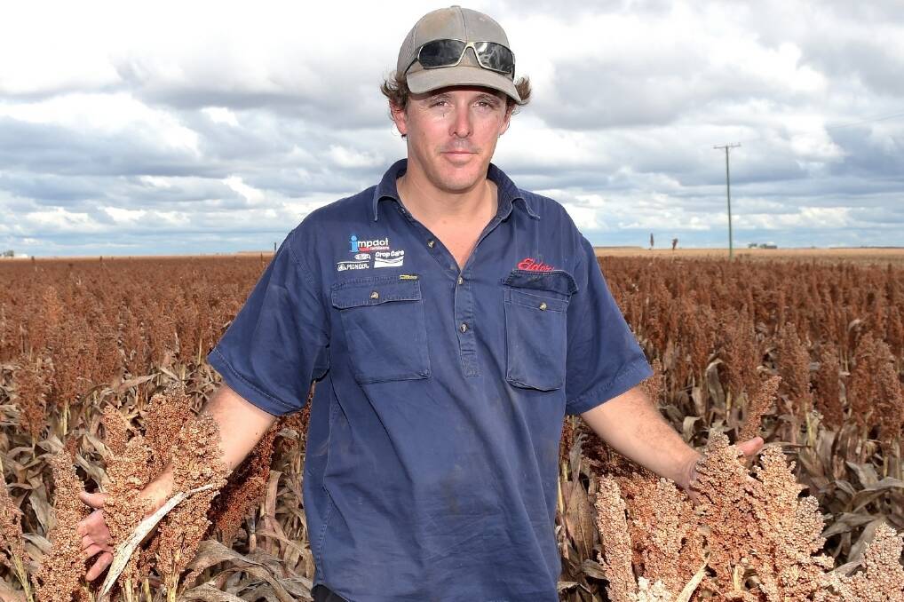 Sorghum grower Tim Rauchle, Bongeen. - <i>Picture: RODNEY GREEN.</i>