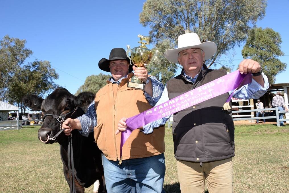 Exhibitor Travis Luscombe wins the champion open steer competition at FarmFest for the third year in a row with Summit Panda. Presenting the award to Travis was led steer judge Ross Milner, Bushlands, Yeppoon. <i>- Picture: SARAH COULTON.</i>