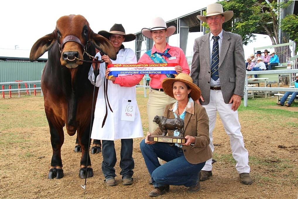 Supreme interbred bull was Doonside Taser, owned by Bill and Kaye Geddes, Doonside Brahmans, The Caves, and held by Jane Geddes, Charlevue, Dingo, and sashed by the 2015 Rockhampton Show, Rural Ambassador, Kylie Hopkins, Circle Vista, Glendale and judges, Fiona Noakes,  Rock Wallaby, Marlborough, and Denis Bourke, Burradoo, Meandarra.
