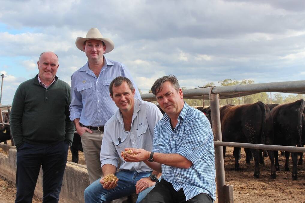 Michael Bullen, NSW DPI, with AACo branded beef general manager Cye Travers, AACo Aronui Feedlot manager Dave Bailey, and ABC Local Radio Sydney weekends presenter Simon Marnie, at Aronui Feedlot, Dalby.