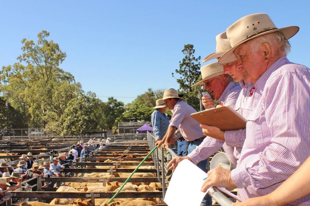 Locals attending a recent Toogoolawah cattle sale.