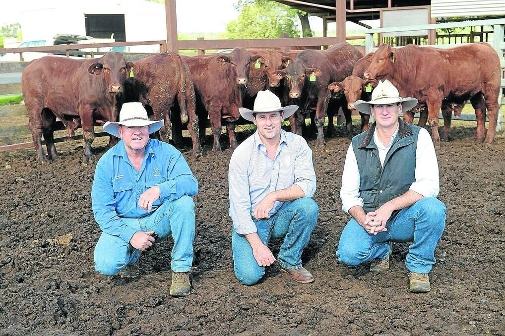 Mick Price, feedlot manager, Kurrawong Feedlot, Bowenville, with Andrew and David Bassingthwaighte, Yarrawonga and Waco Santa Gertrudis Stud, Wallumbilla. These steers will be on feed for 100 days. - <i>Picture: RODNEY GREEN.</i>