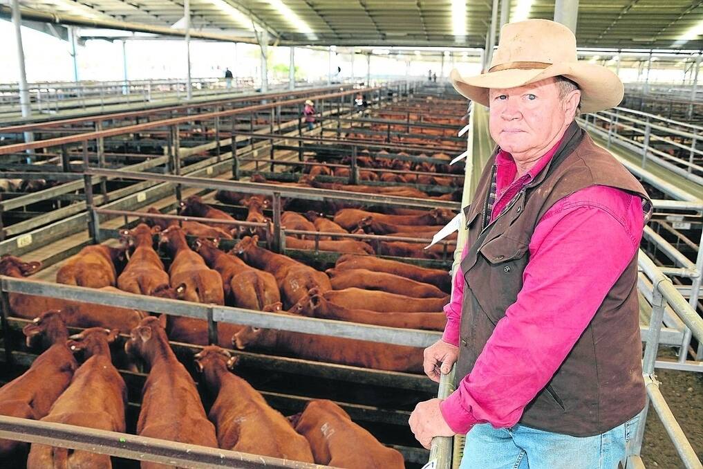 Andrew Rose, Trent Station, Barcaldine, sold 250 stud purebred Limousin PTIC cows and heifers on behalf of the Barry Rose family and associates. The Rose family had been breeding cattle for 30 years. - <i>Picture: SARAH COULTON.</i>