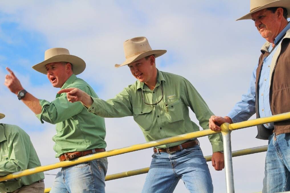 Young auctioneer Bryton Virgo selling cattle recently in Emerald. 
