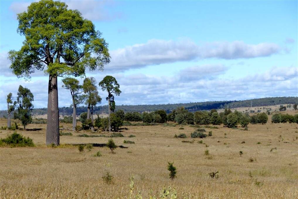 The 2573-hectare Taroom property Belle Eau sold at auction for $3.35 million on Thursday.