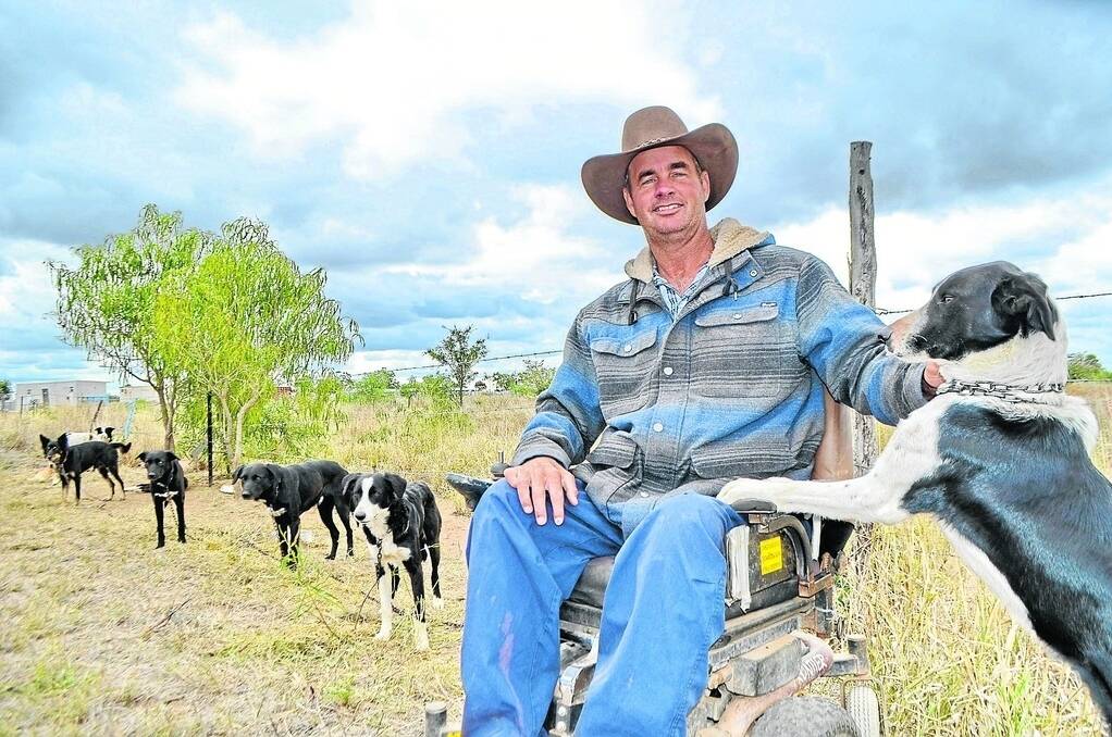 Steven Elliott of Winton has been on the working dog trial circuit for the past 12 months.