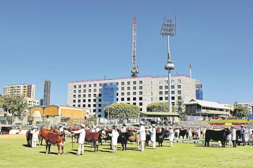 Hundreds of students turned out to the main oval at the RNA Showgrounds on Monday to compete in the young paraders event.