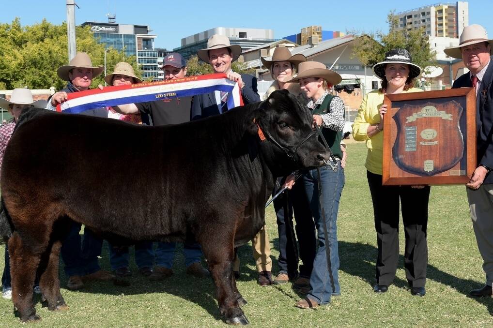Pictured with the grand champion led steer are Lannah Sowden, Kingaroy, Don and Sarah Riley, Oakvale Limousins, Tamworth, NSW, Woolworths head of trade - meat Jim Stefan, Shannon Sowden, Five Star, Kingaroy, handler Carmen Sowden, and judge Greg Ball with his wife Leonie, Grenell, Singleton, NSW. <i>- Picture: RODNEY GREEN.</i>