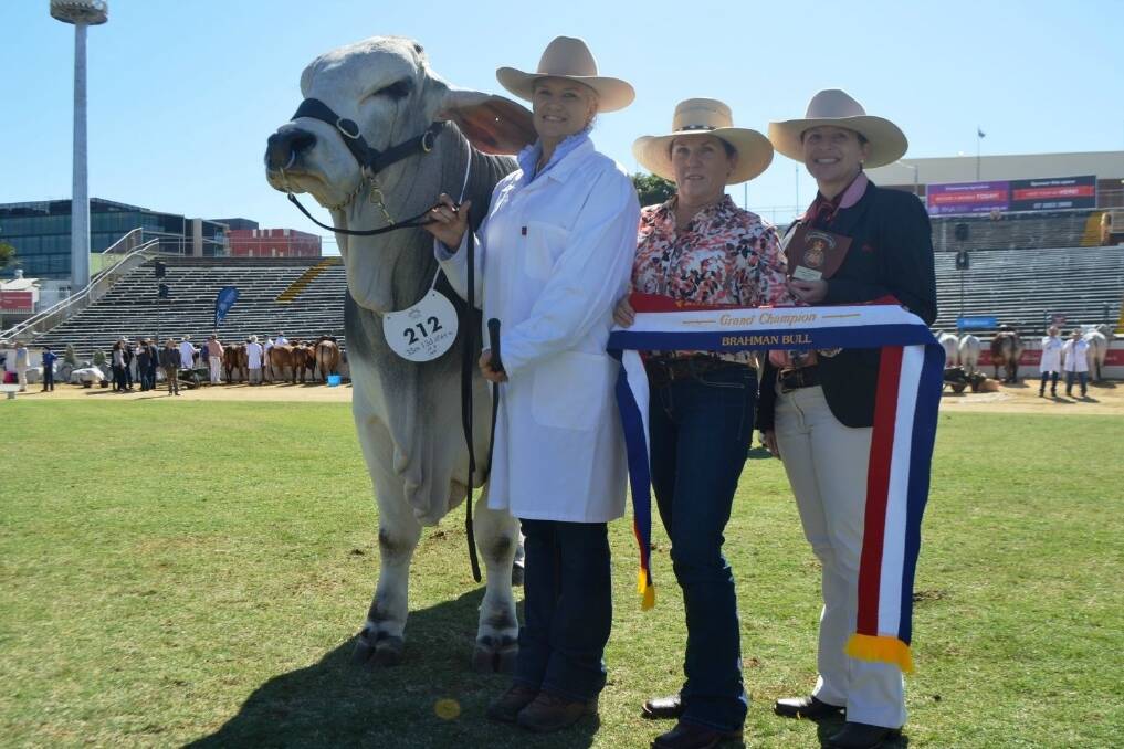 Tegan Lavender with Brahman grand champion bull, Whitaker Mr Where'd He from Whitaker Brahman Stud, Mundubbera. Also pictured are Sandra Bishop and Lisa Hedges.