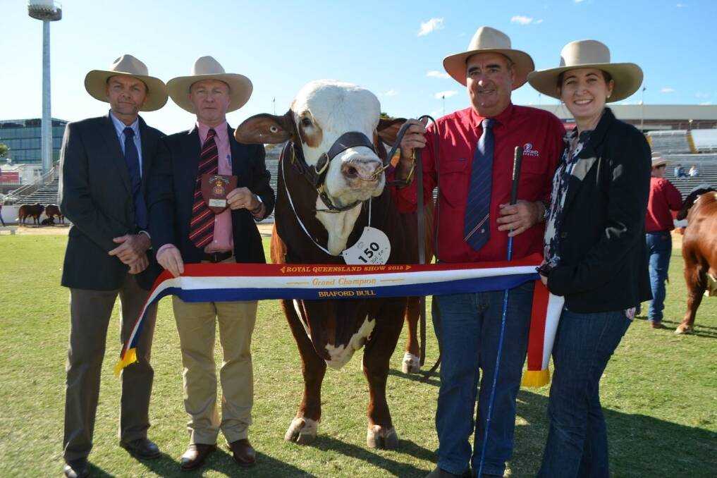 Doug Bennett (2nd from right), Little Valley Braford Stud, Casino, NSW, with Braford grand champion bull,  Little Valley Idaho. Also pictured are Braford section judge Steven Donovan, Ashby Brafords, Jimbour, Andrew Meara, Elders Toowoomba, and Tracey Hartmann, Ascot Braford Stud, Banana.